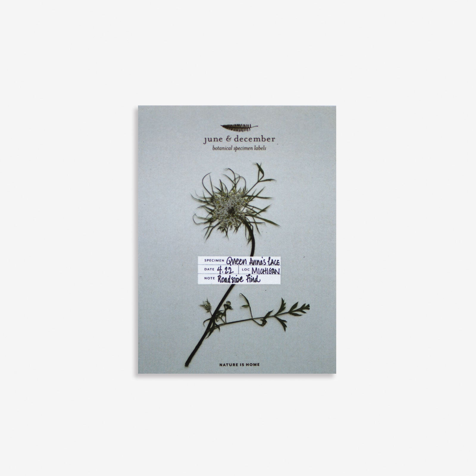 Botanical Specimen Labels - 36 labels