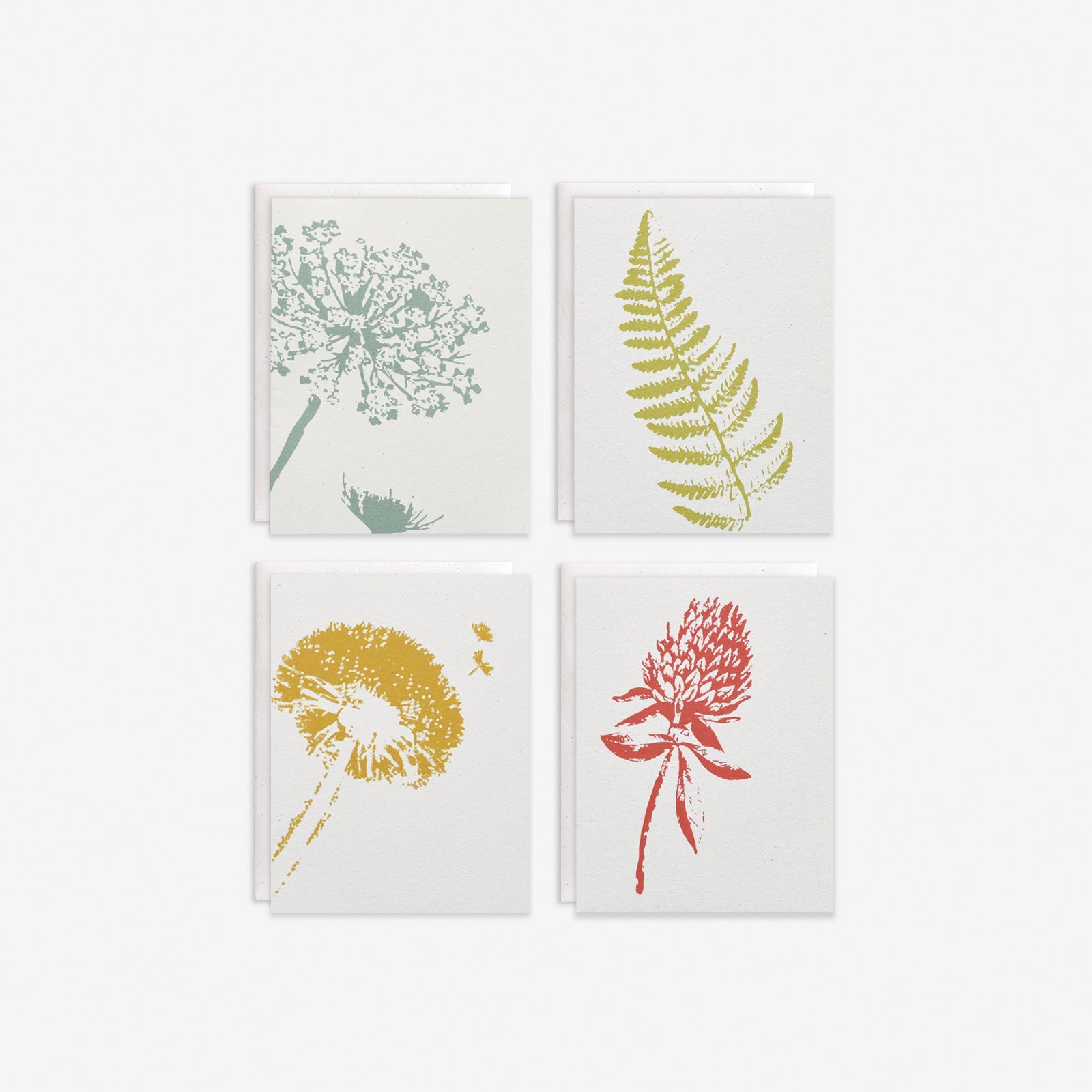 Wild Pretties Boxed Set