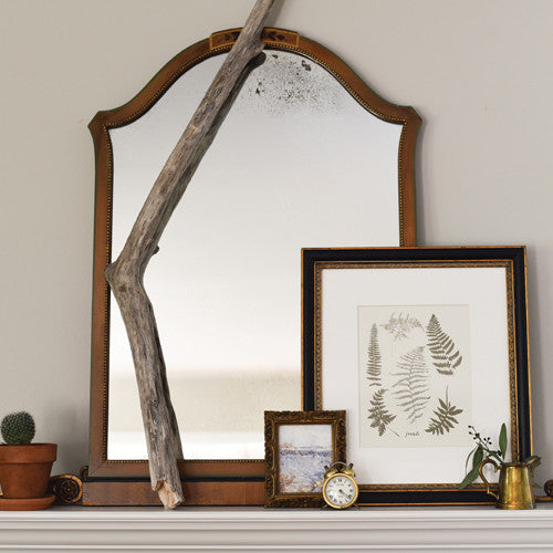 Fronds Art Print