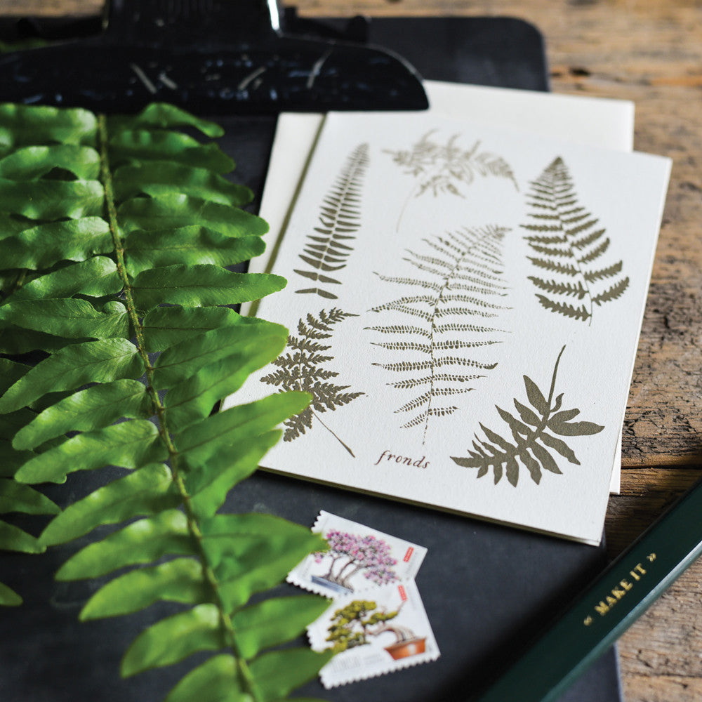 Fronds Boxed Set