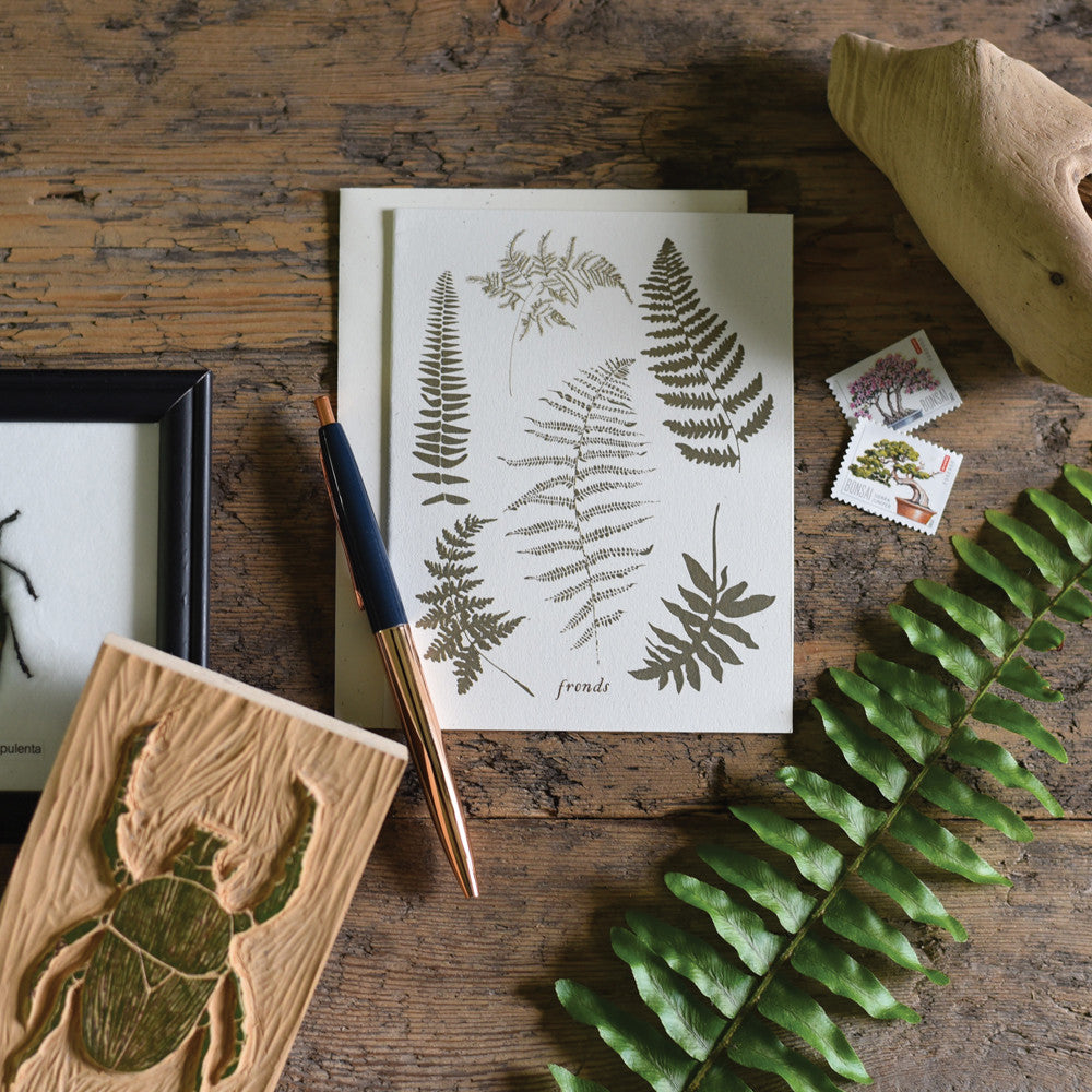 Fronds Boxed Set