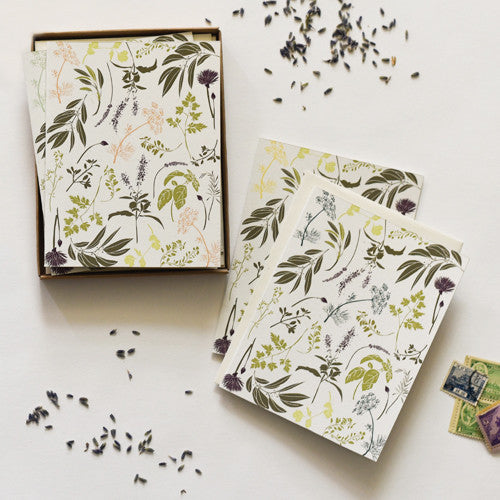 Garden Herbs Boxed Set