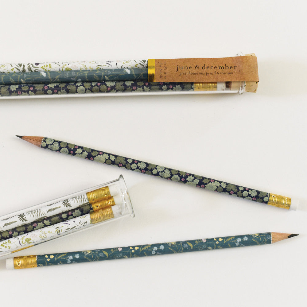 Greenhouse Mix Pencil Terrarium