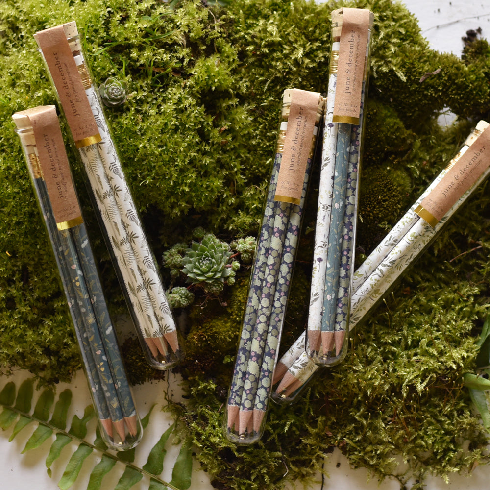 Hummingbird Pencil Terrarium