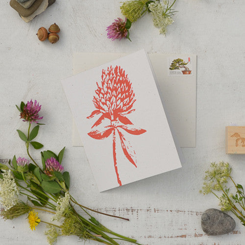 Wild Pretties Boxed Set