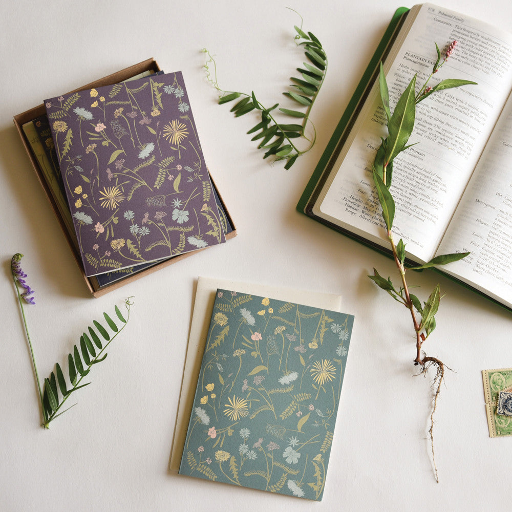 Meadow Boxed Set