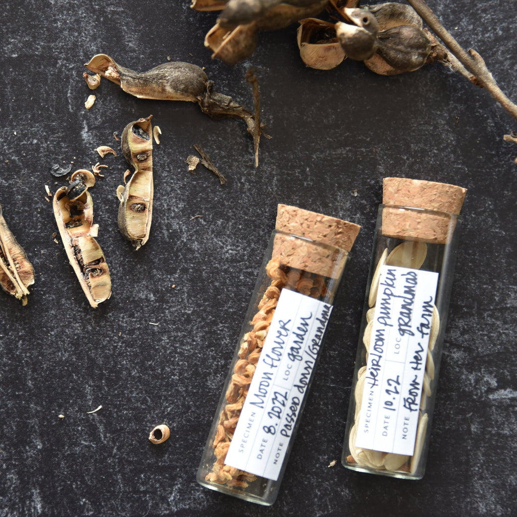 Botanical Specimen Labels - 36 labels