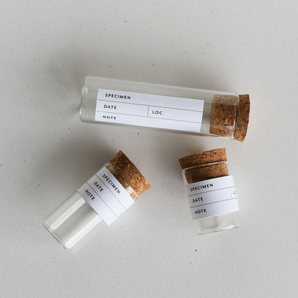Botanical Specimen Labels - 36 labels