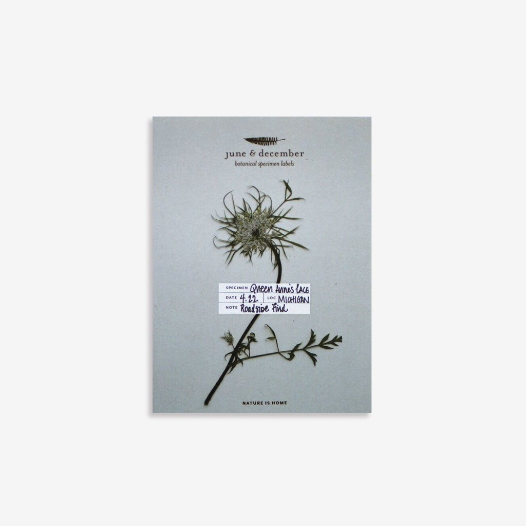 Botanical Specimen Labels - 36 labels