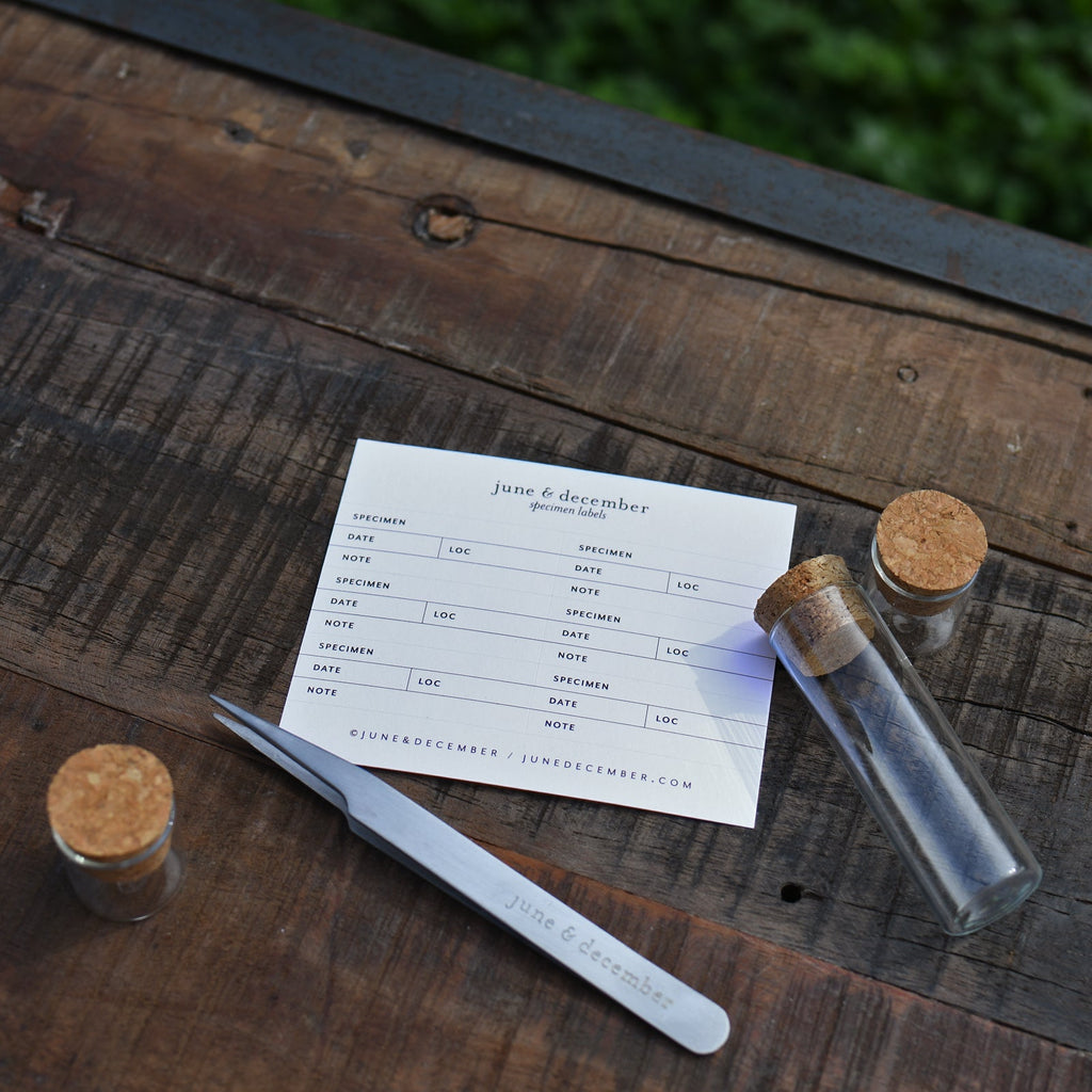 Botanical Specimen Labels - 36 labels