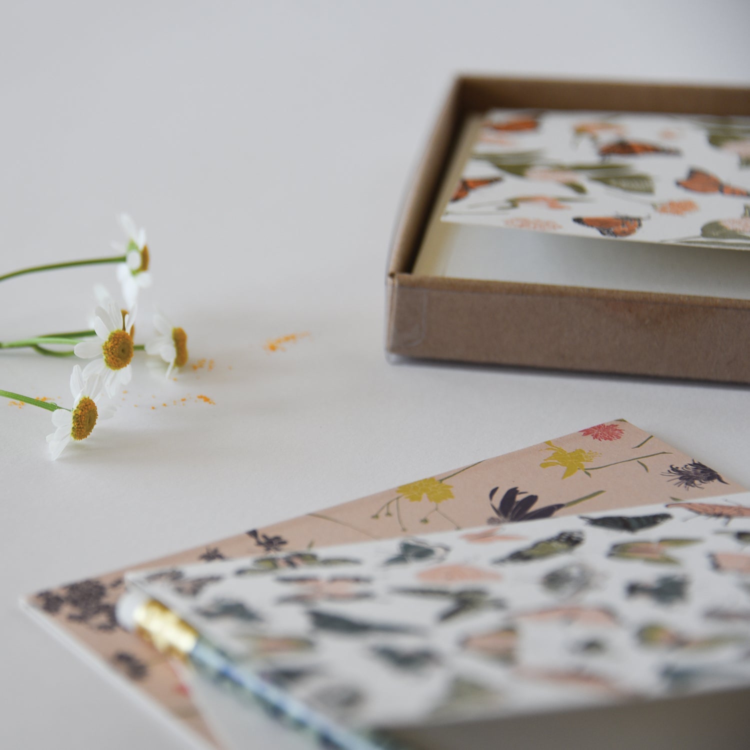 Monarchs & Milkweeds Boxed Set