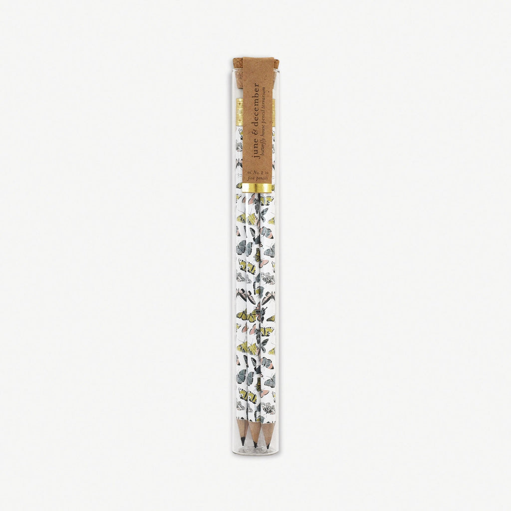 Butterfly Pencil Terrarium