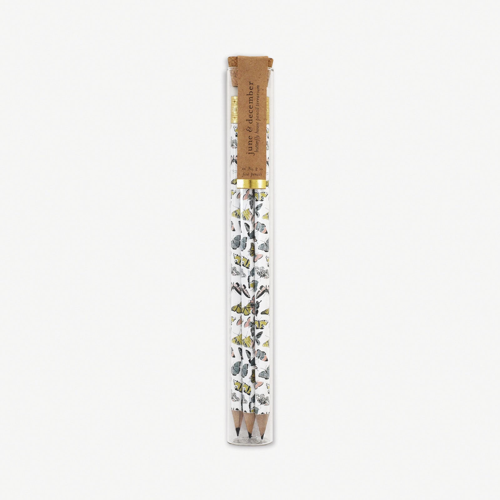 Butterfly Pencil Terrarium