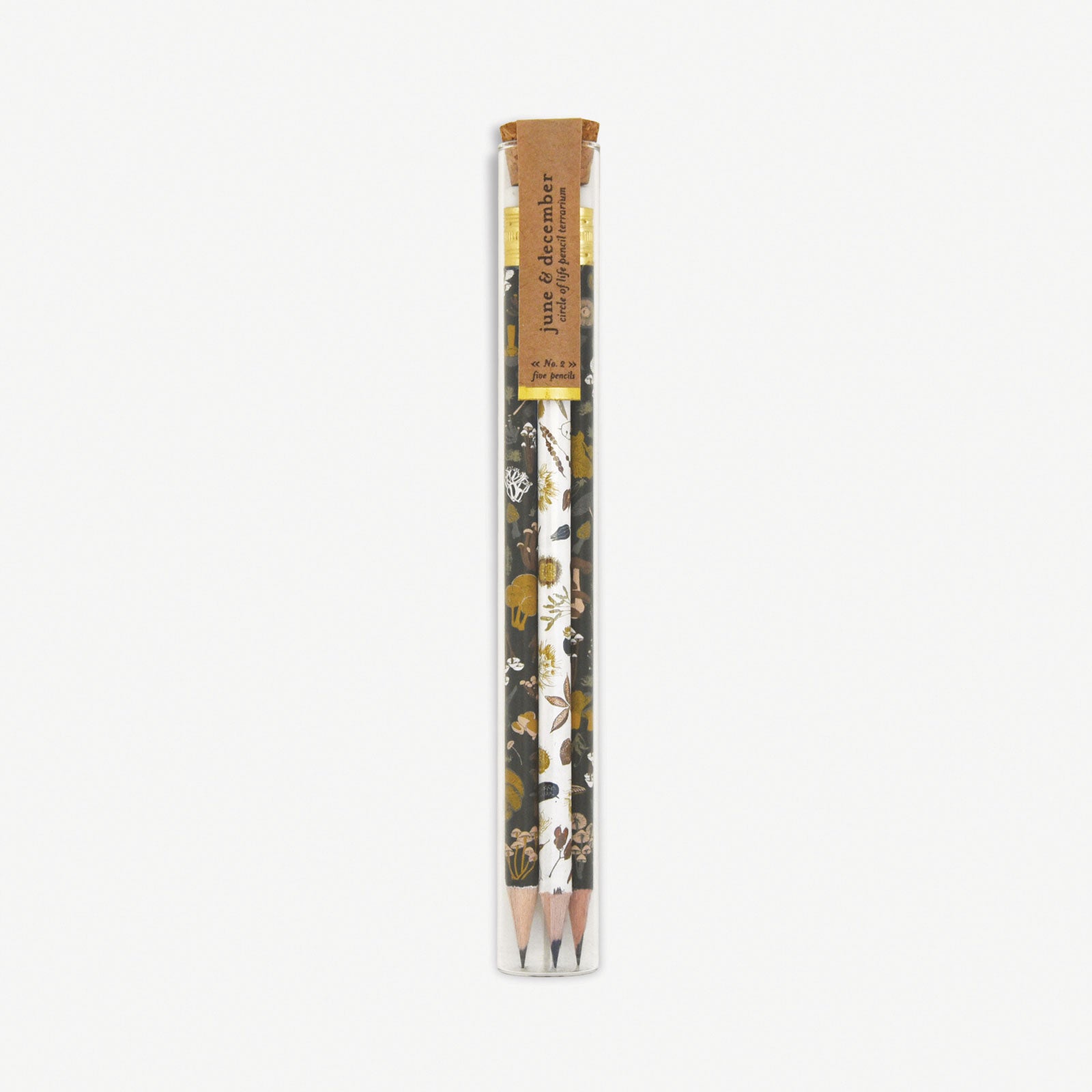 Circle of Life Pencil Terrarium