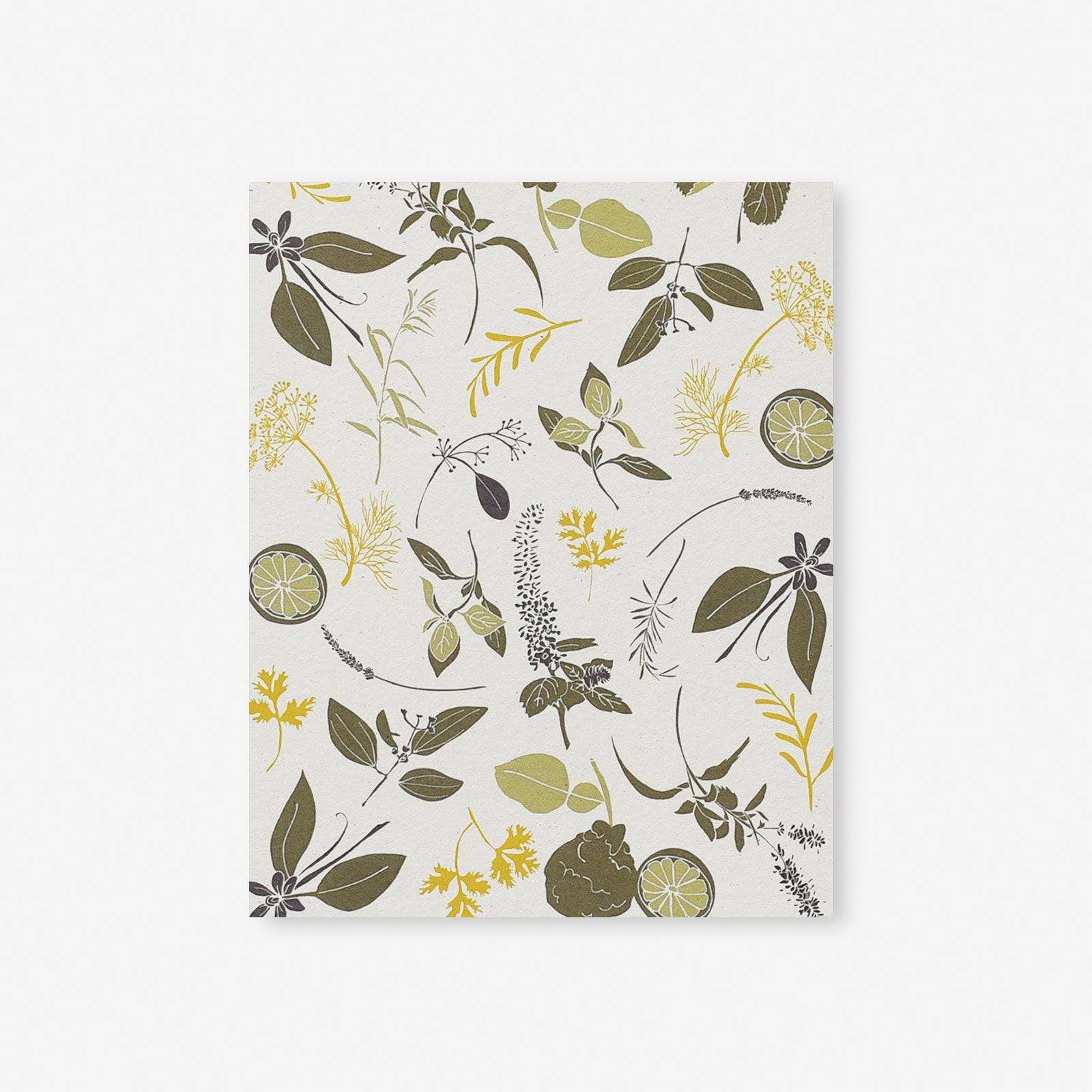Cocktail Herbs Art Print