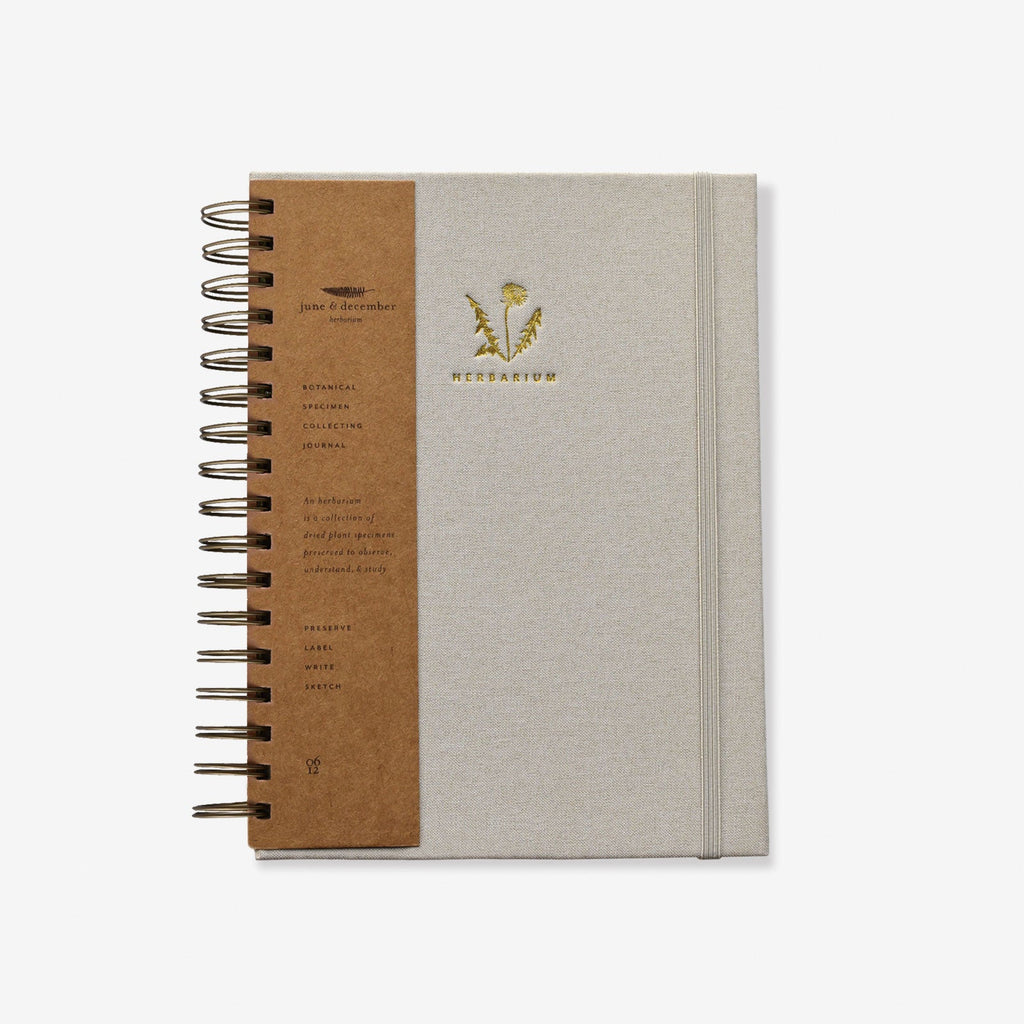 Dandelion Herbarium Journal : Mushroom Gill Cream