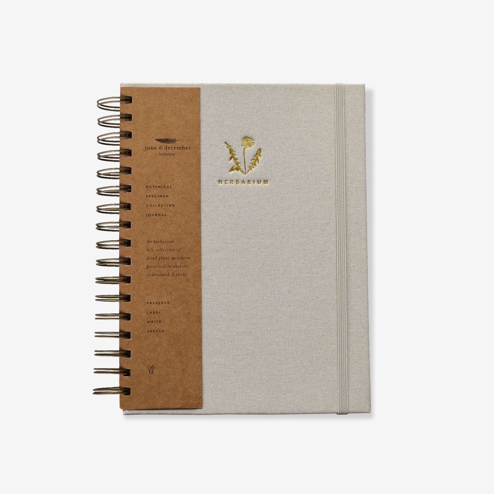 Dandelion Herbarium Journal : Mushroom Gill Cream