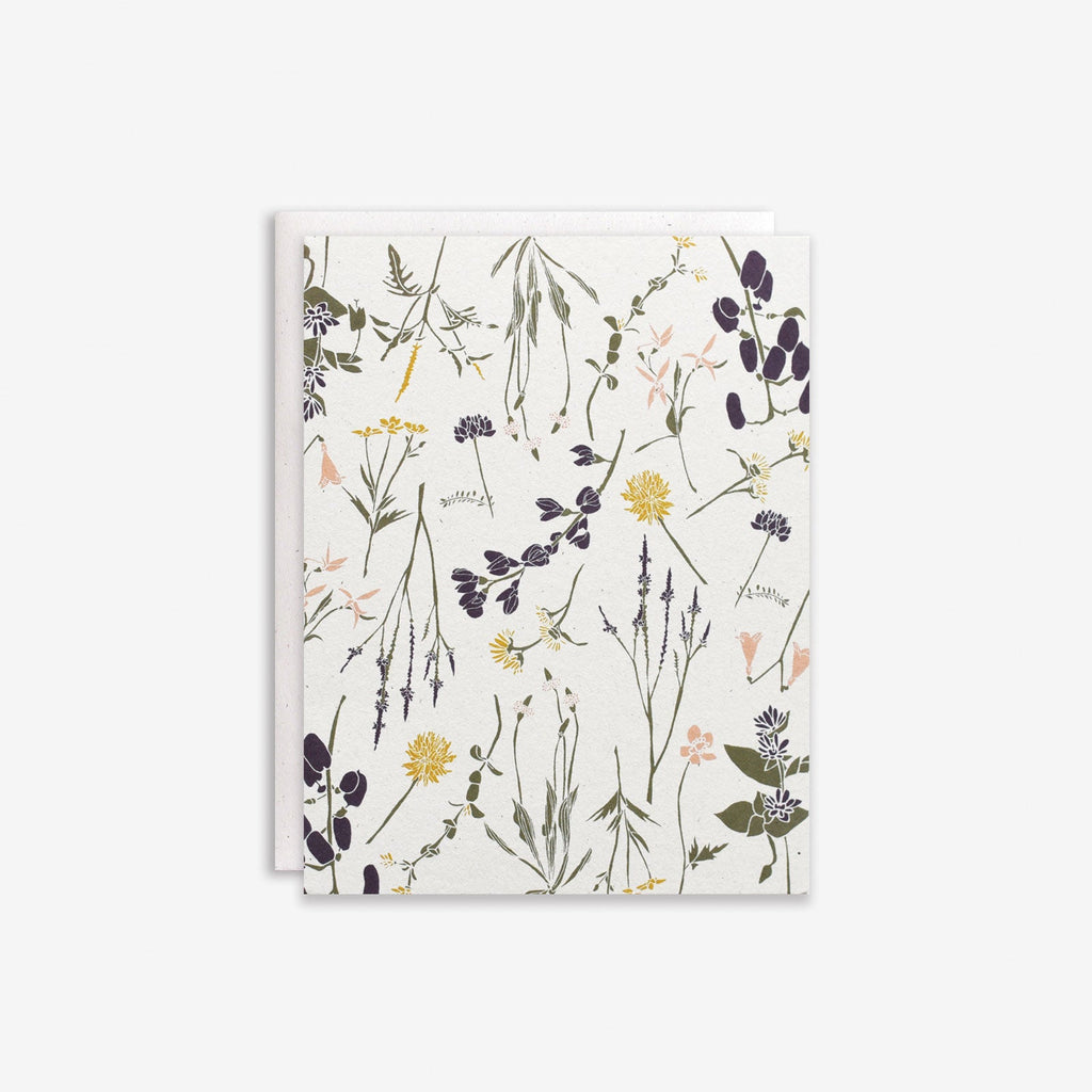 Wildflowers by Region Box Set