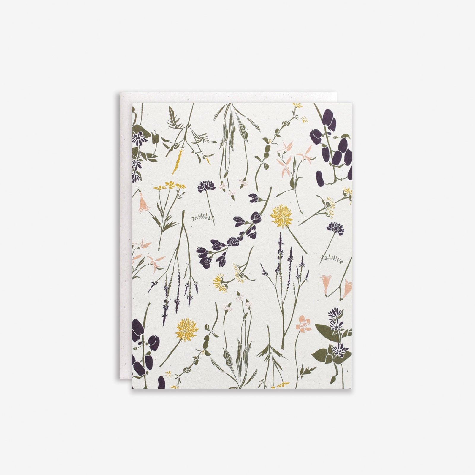 Wildflowers by Region Box Set