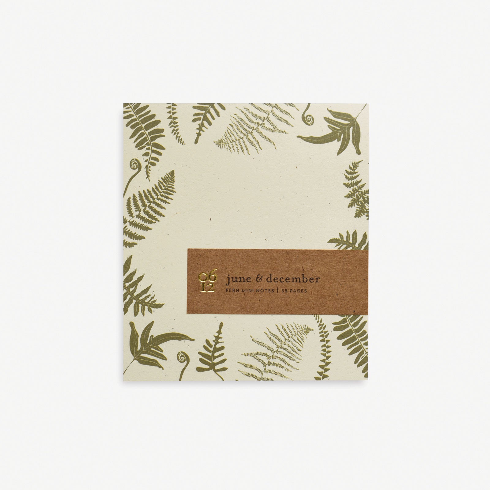 Fern Mini Notes