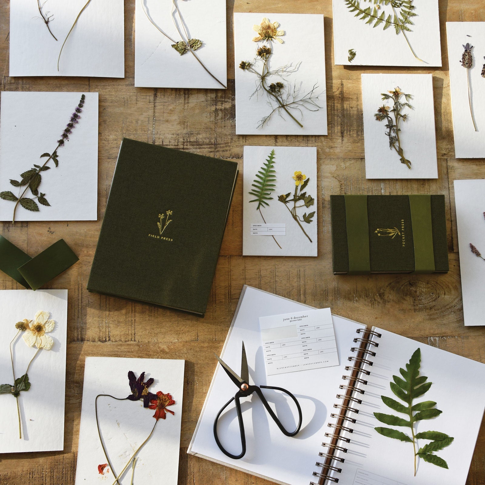 Field Flower Press