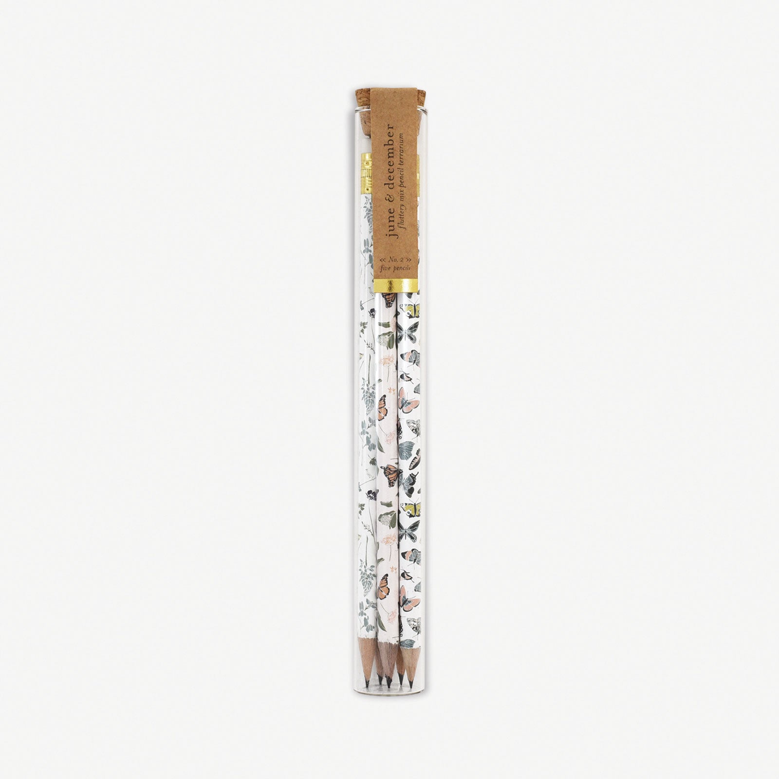 Fluttery Mix Pencil Terrarium