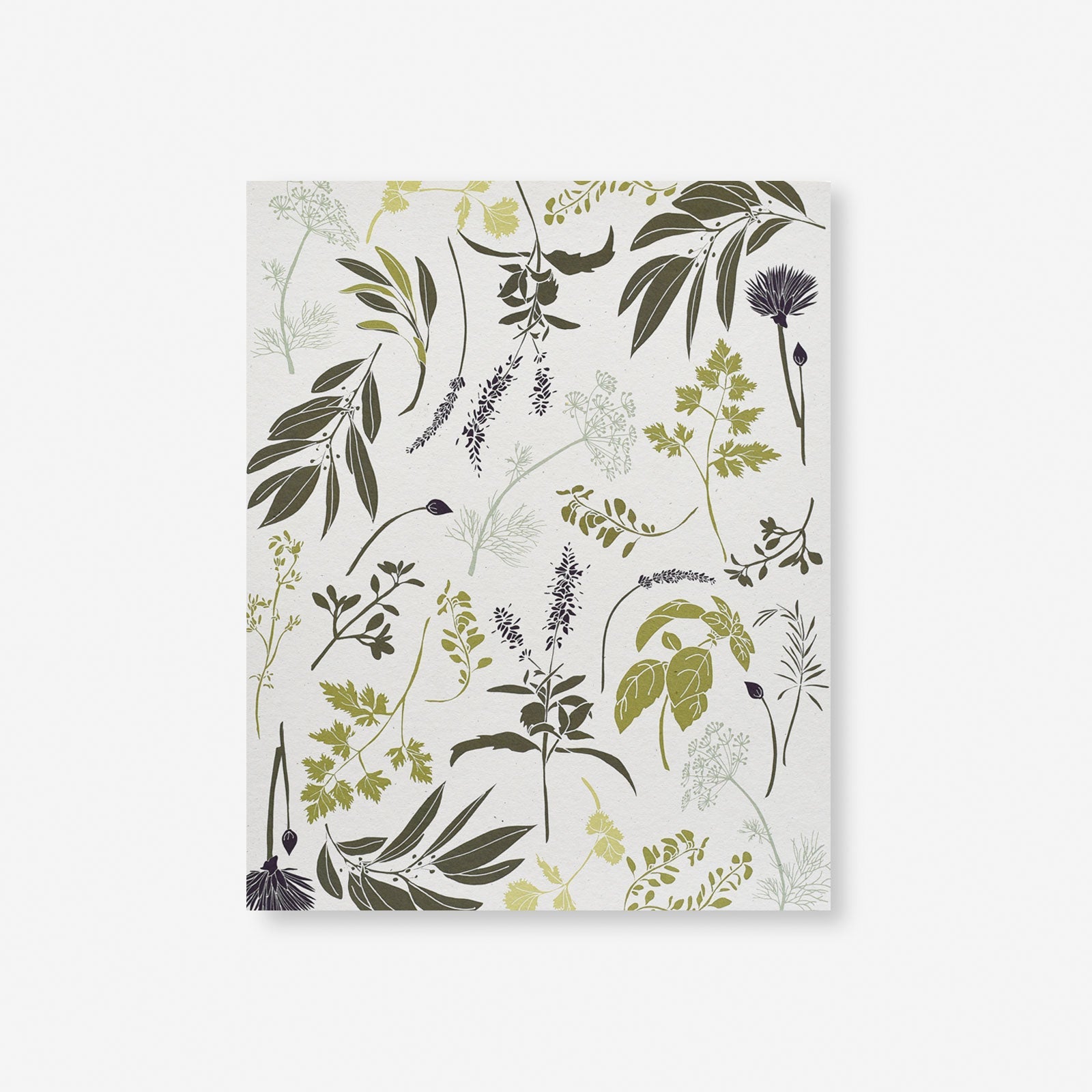 Garden Herbs Art Print