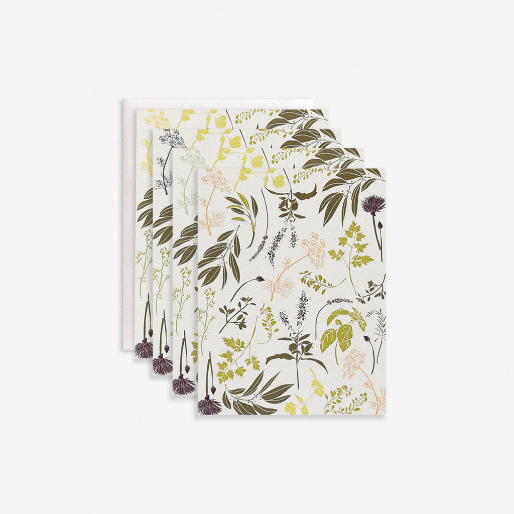 Garden Herbs Boxed Set