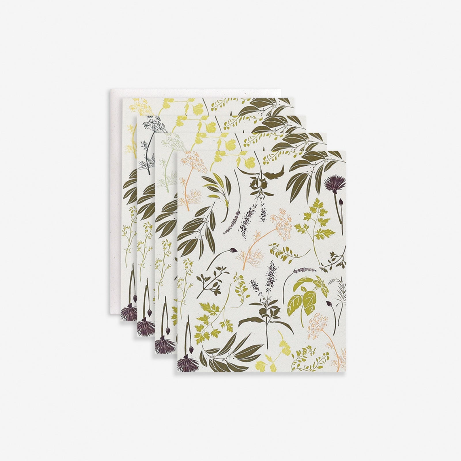 Garden Herbs Boxed Set