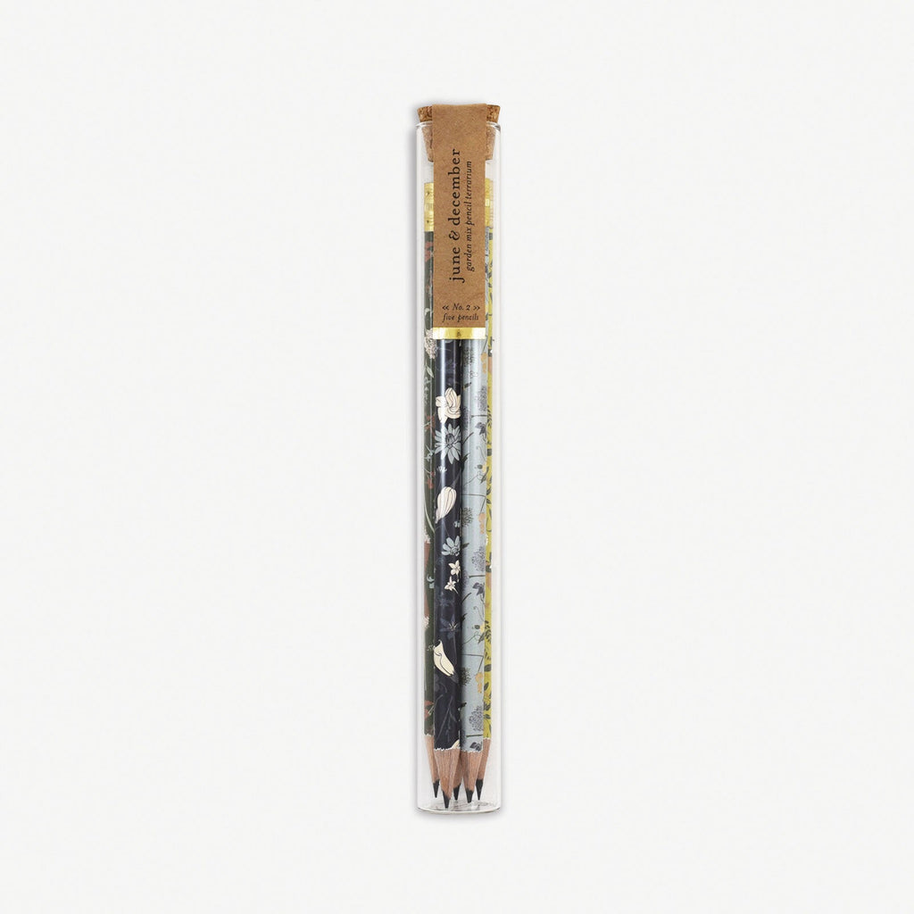 Garden Mix Pencil Terrarium