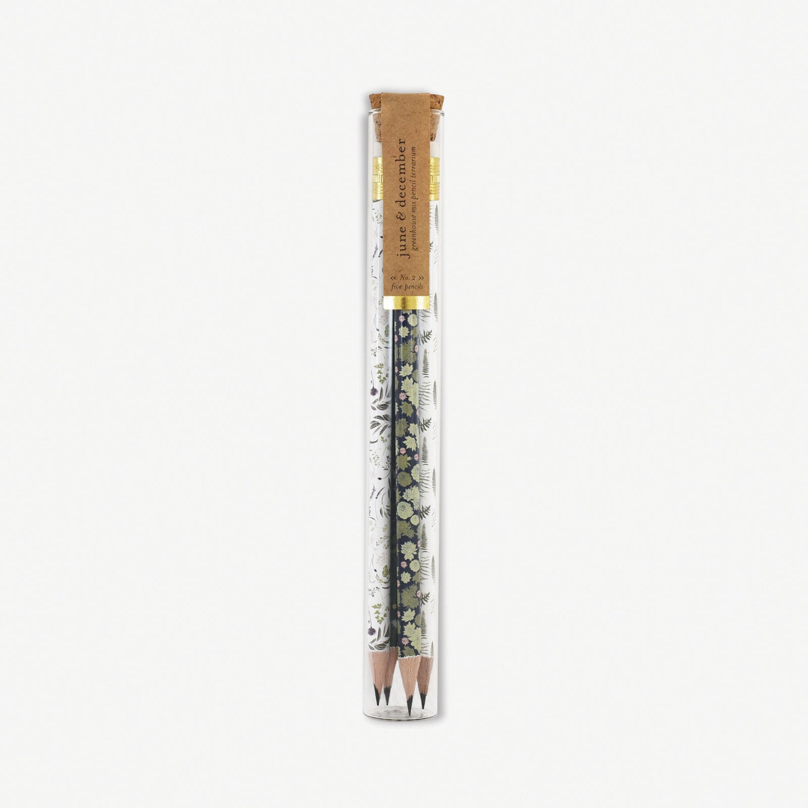 Greenhouse Mix Pencil Terrarium