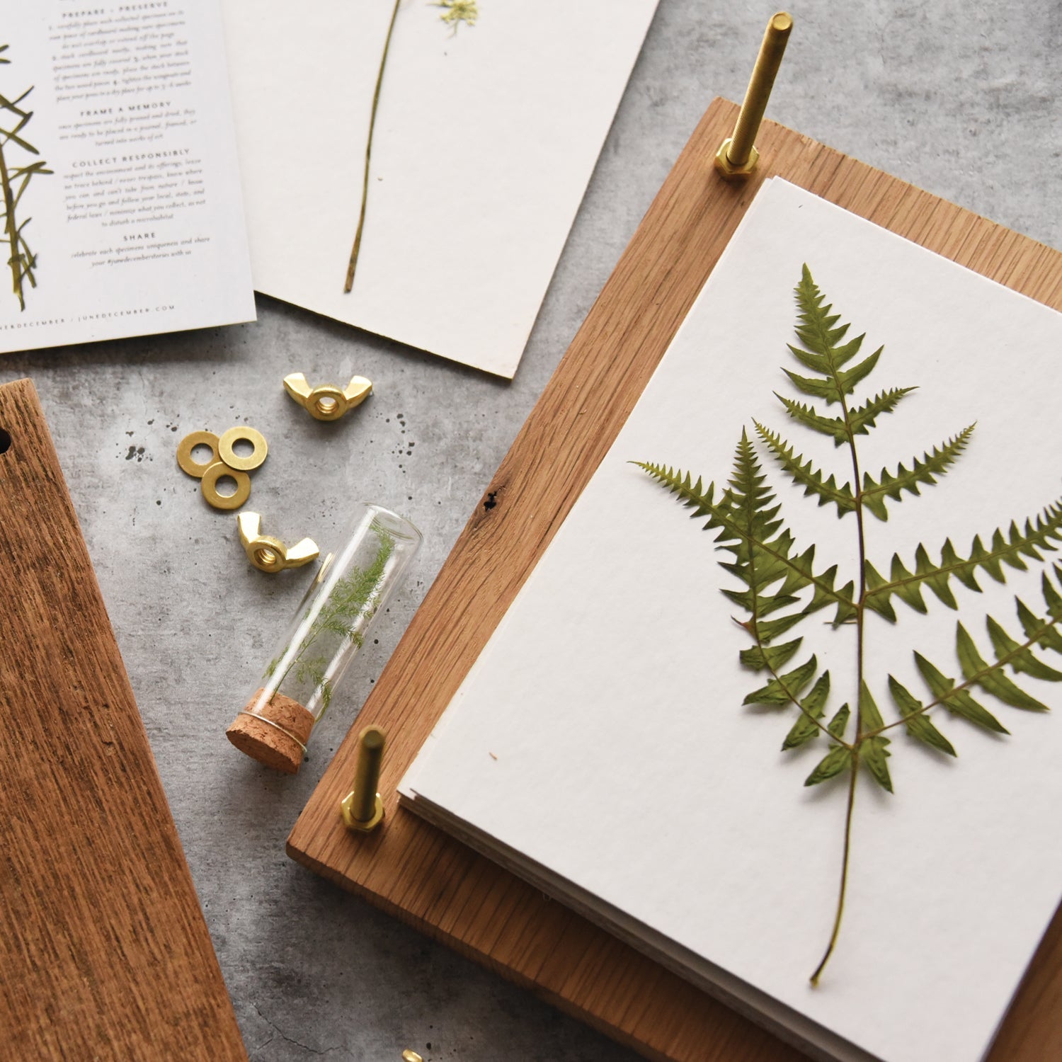 Heirloom Flower Press : 6x8