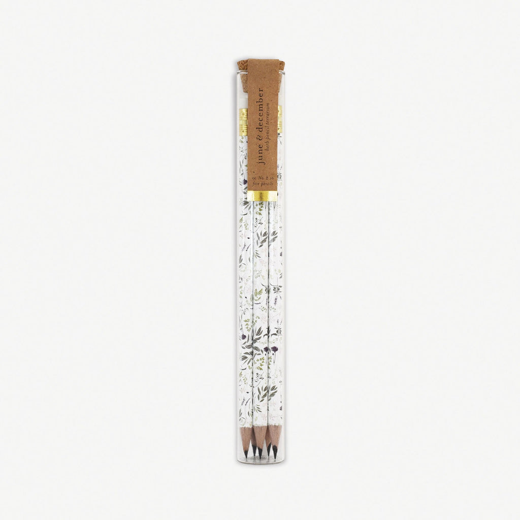 Herb Pencil Terrarium