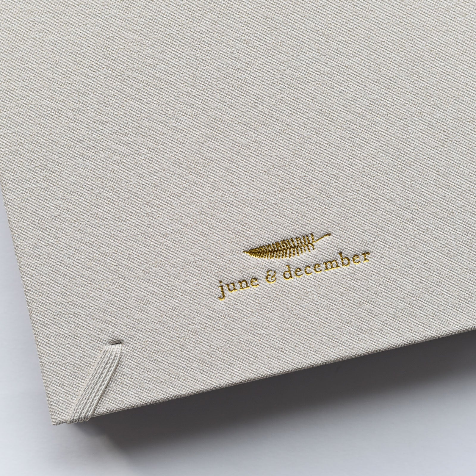 Dandelion Herbarium Journal : Mushroom Gill Cream