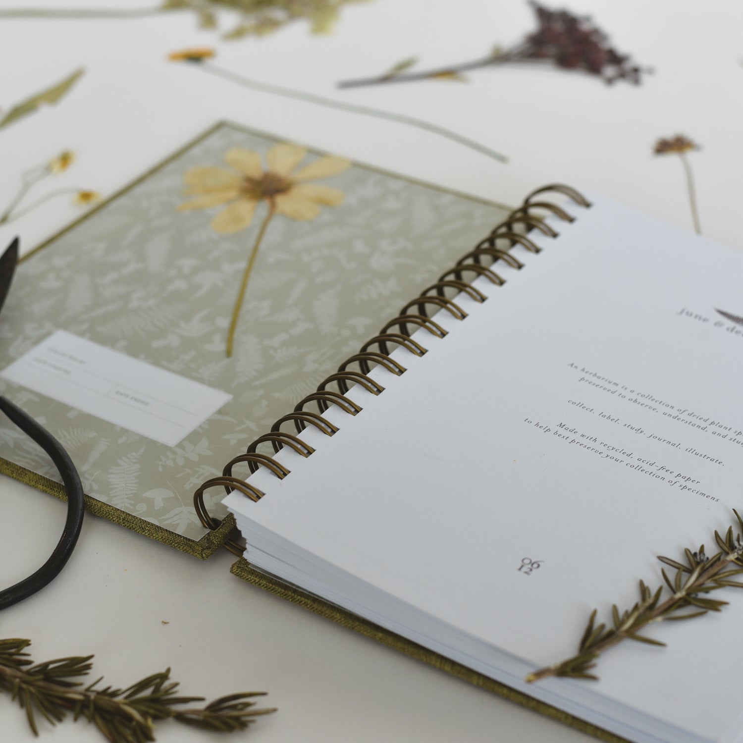 Fern Herbarium Journal : Forest Green