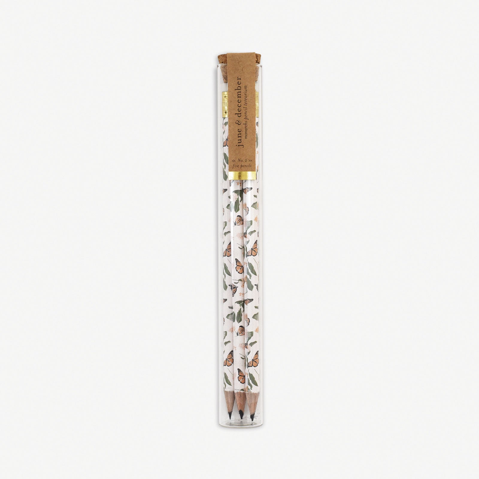 Monarchs Pencil Terrarium