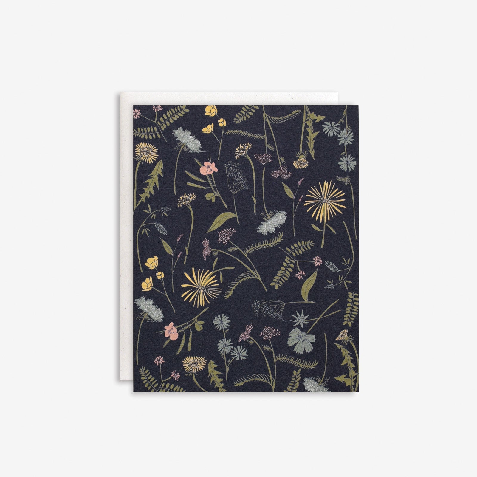 Meadow Boxed Set