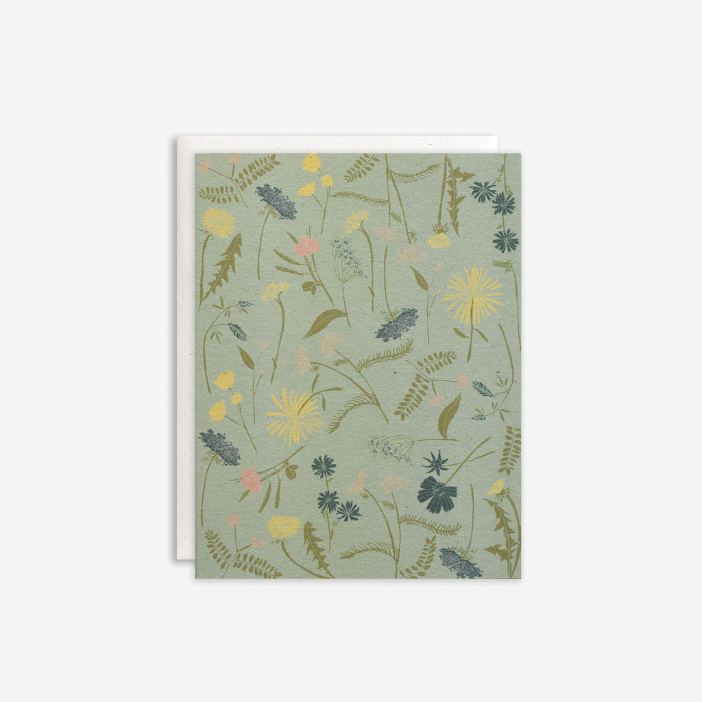 Meadow Boxed Set