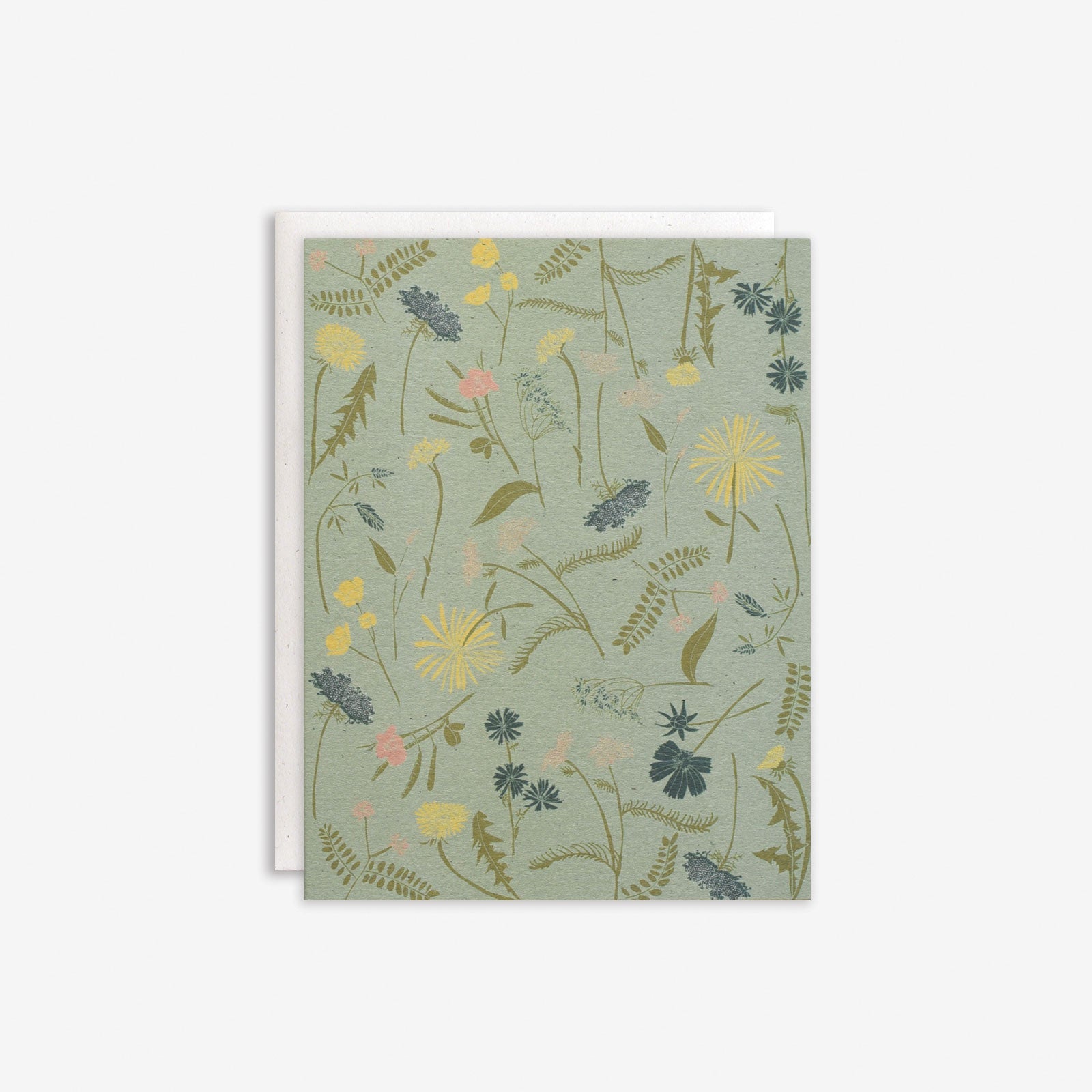 Meadow Boxed Set