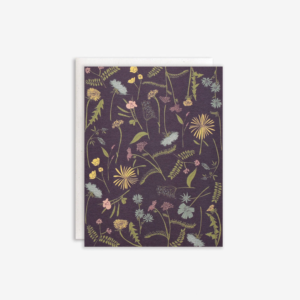 Meadow Boxed Set