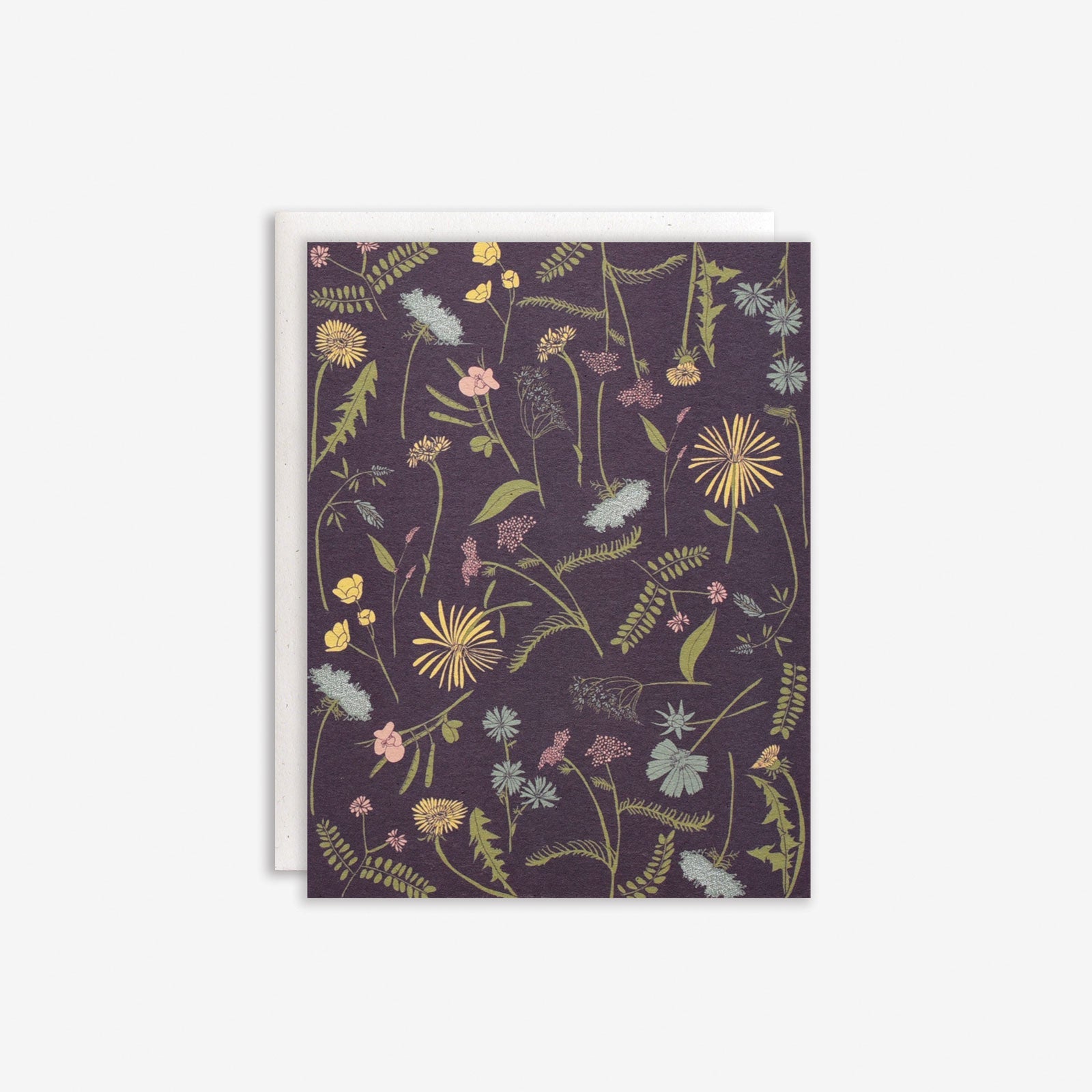 Meadow Boxed Set