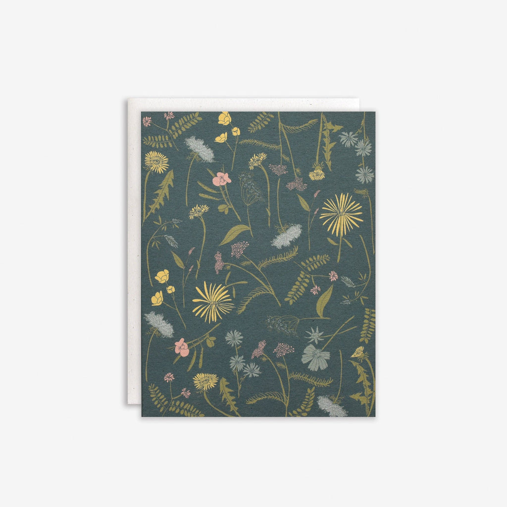 Meadow Boxed Set
