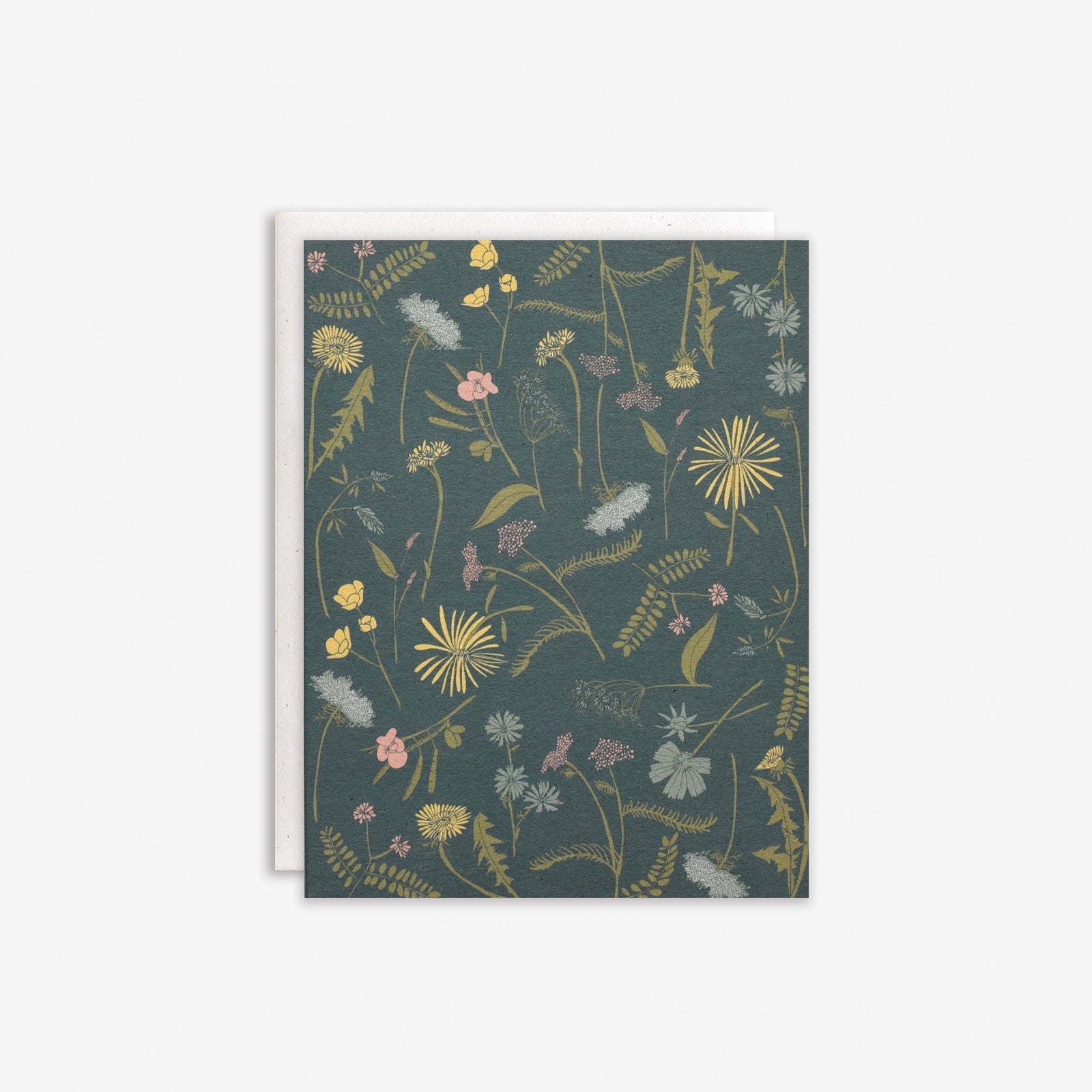 Meadow Boxed Set
