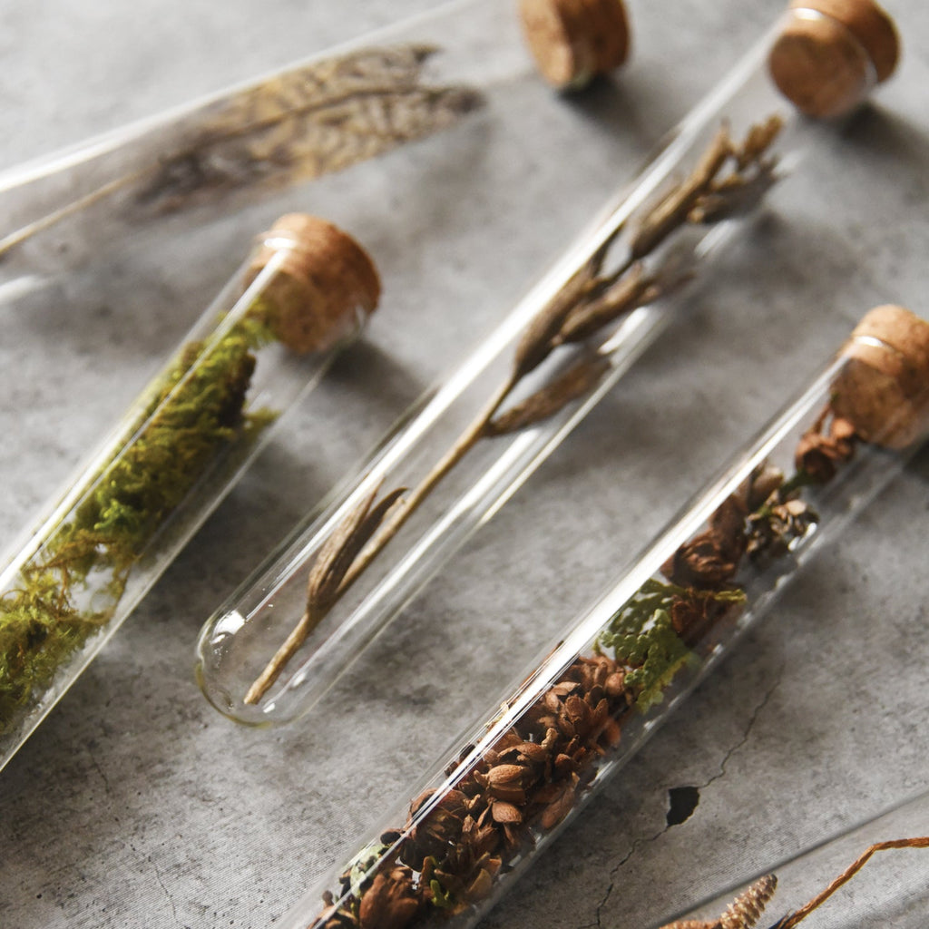 Hummingbird Pencil Terrarium