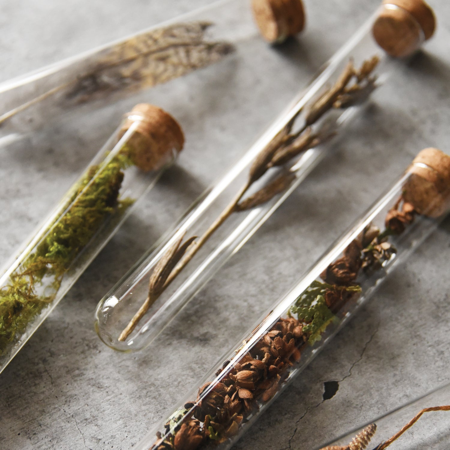 Butterfly Garden Pencil Terrarium