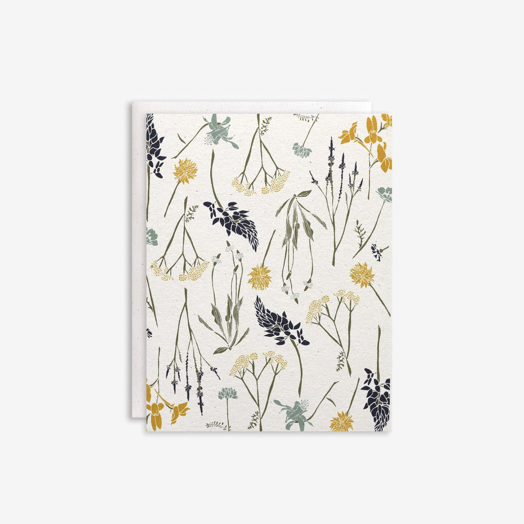 Wildflowers by Region Box Set