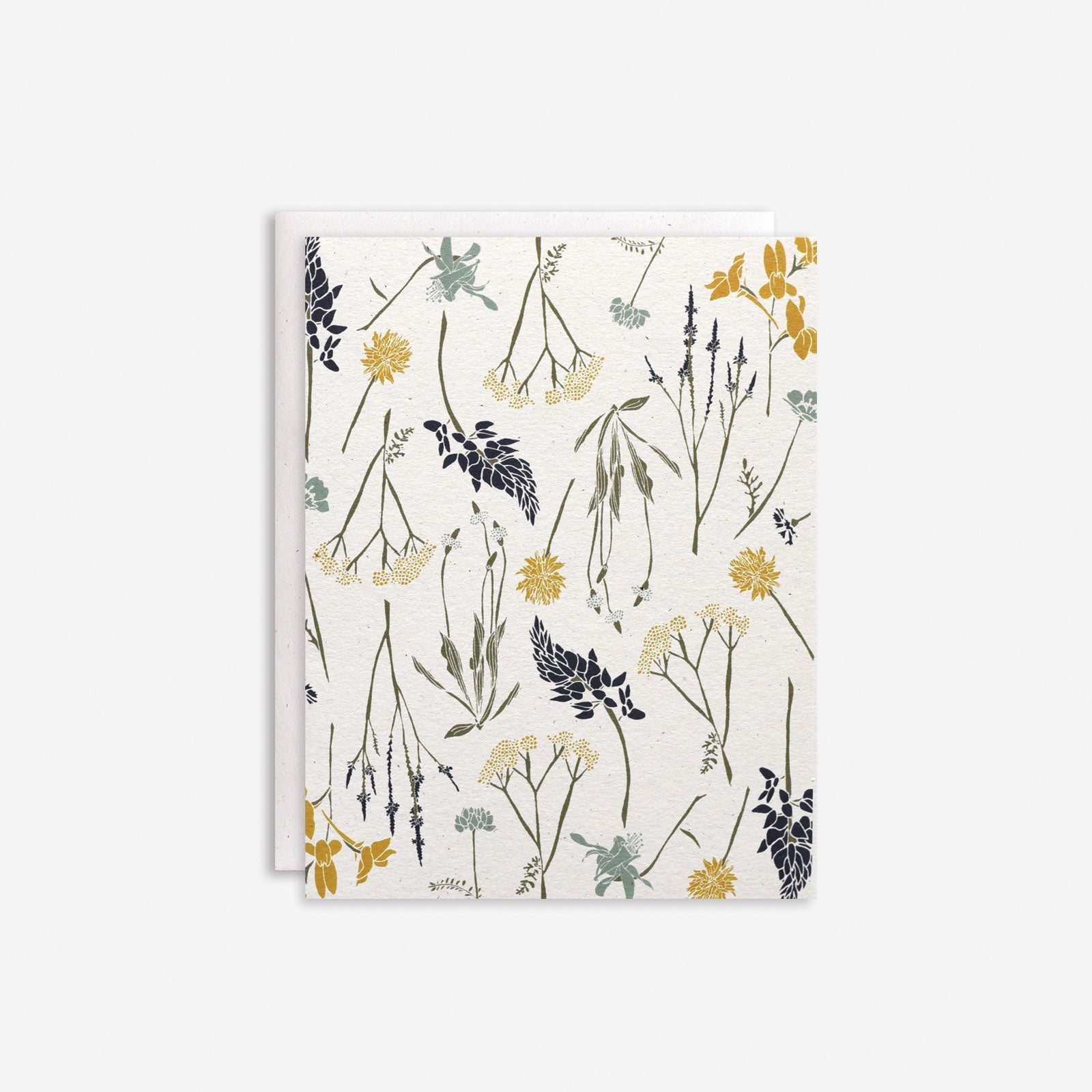 Wildflowers by Region Box Set
