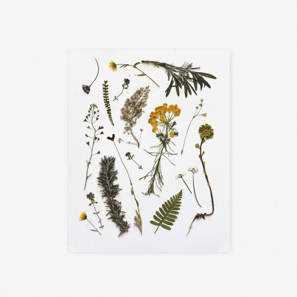 Pressed Olive Grove Pretties Art Print