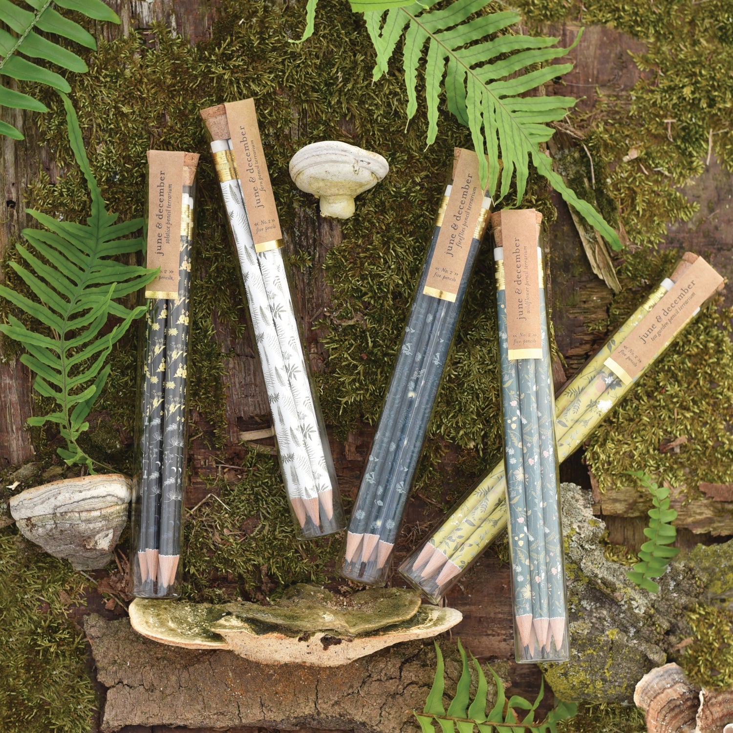Firefly Pencil Terrarium