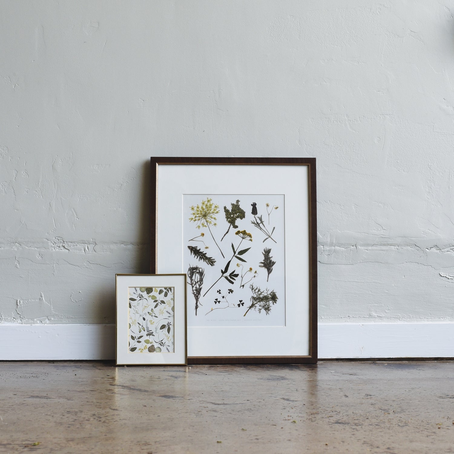 Pressed Herb Sprigs Art Print